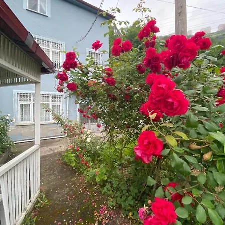 Sera Goelue Manzarali Apartment Trabzon
