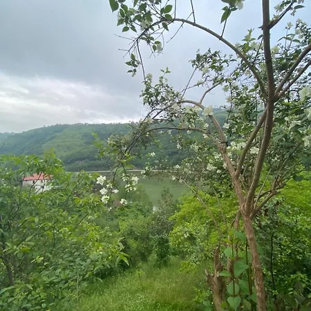 Apartment Sera Goelue Manzarali Trabzon